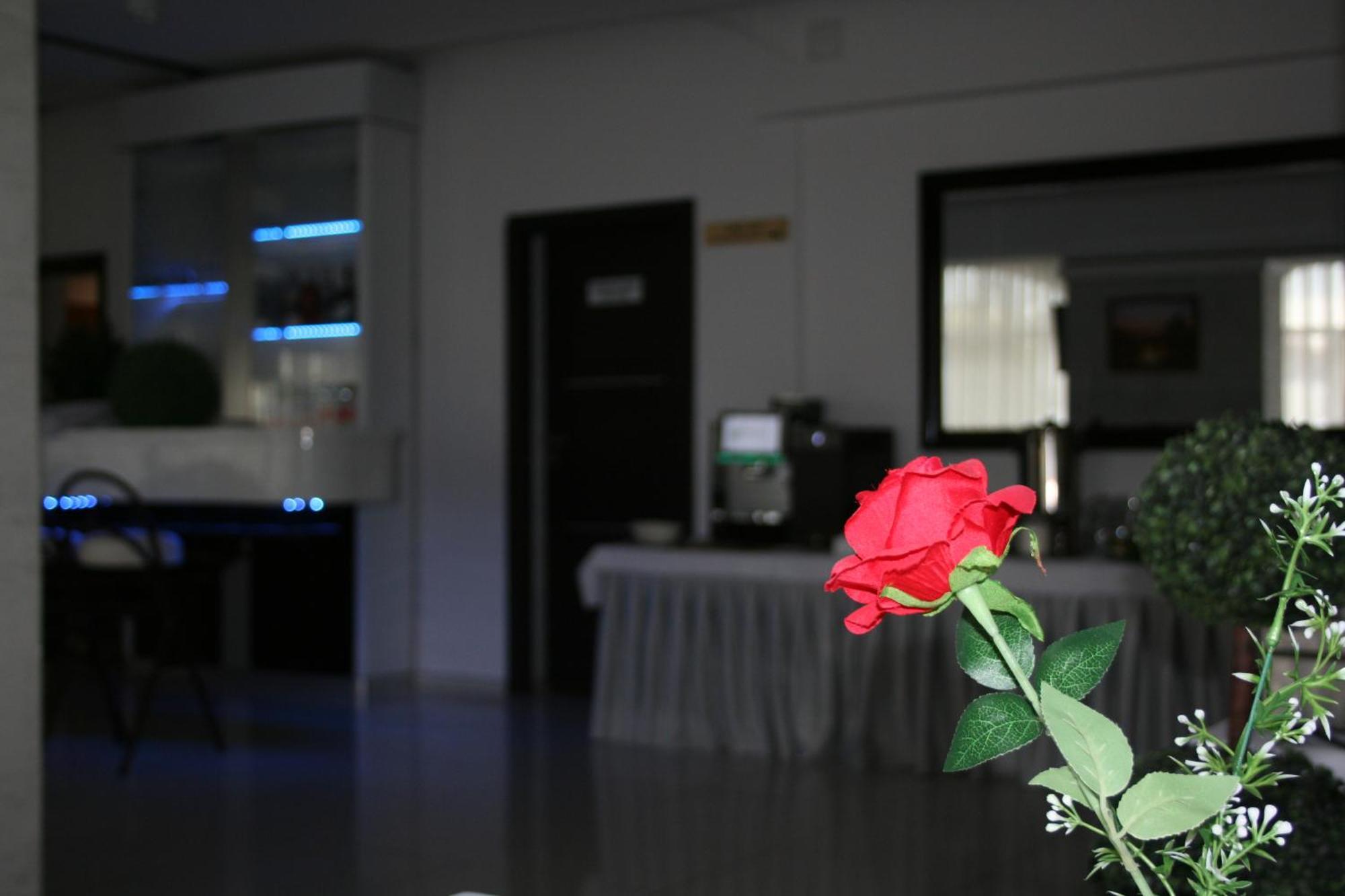 קרקוב Hotel Junior 2 מראה חיצוני תמונה
